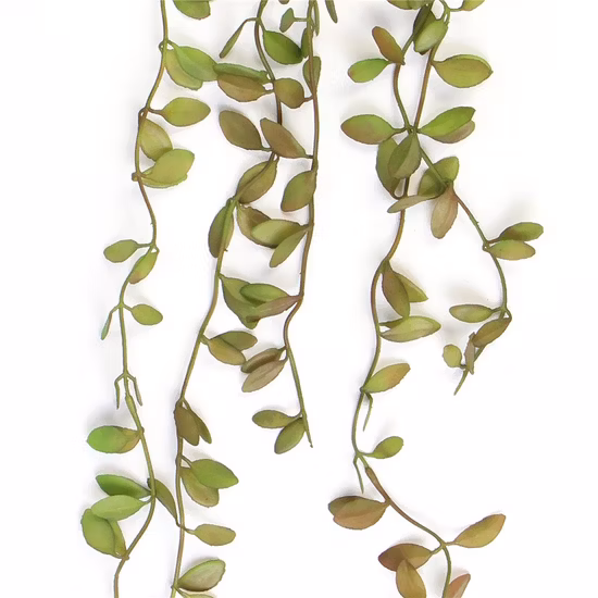 Factory Supply Custom Cheap Wall Green Artificial Succulents Hanging Plants for Decor