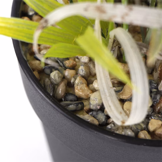 Plastic Small Artificial Bonsai Greenery Potted Mini Plant for Home Garden Decoration