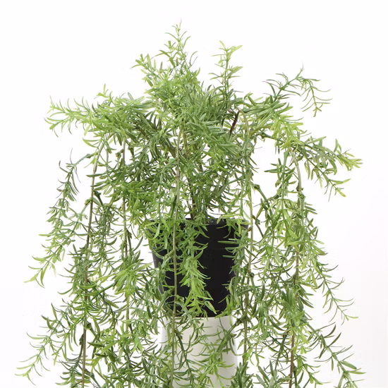 New Products Customized Creative Artificial Potted Plants Hanging for House